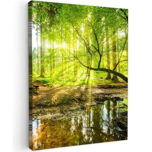 MuchoWow OBRAZ NA PLÁTNE Les - Krajina - Voda - Stromy - Slnko - Zelená - Príroda 30x40 cm vyobraziť
