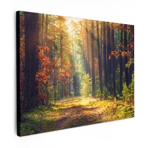 MuchoWow OBRAZ NA PLÁTNE Les - jeseň - stromy 80x60 cm vyobraziť