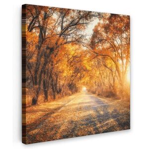 MuchoWow OBRAZ NA PLÁTNE Les - Jeseň - Stromy - Lesná cesta - Príroda 20x20 cm vyobraziť