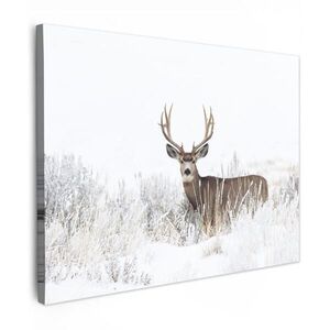 MuchoWow OBRAZ NA PLÁTNE Jeleň - Zima - Sneh - Zvieratá - Ročné obdobia - Biela 40x30 cm vyobraziť