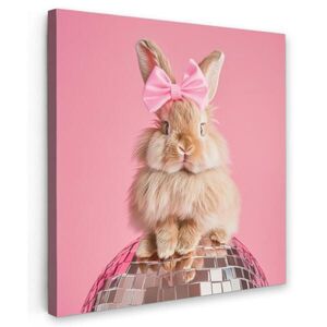 MuchoWow OBRAZ NA PLÁTNE Luk - Discoball - Králik 50x50 cm vyobraziť