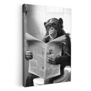 MuchoWow OBRAZ NA PLÁTNE Opica - WC - Noviny - Čiernobiele - Humor 20x30 cm vyobraziť