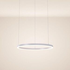 s.luce LED kruhové závesné svetlo Ø 60cm vyobraziť