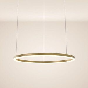 s.luce LED kruhová závesná lampa Ø 80cm vyobraziť