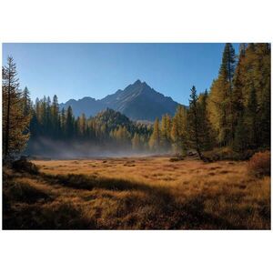 Wallarena FOTOTAPETA Hory Les Hnedá 250x175 cm vyobraziť