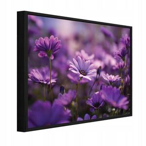 Wallarena ZARÁMOVANÉ obrazy kvety lúka fialová 60x40 cm vyobraziť