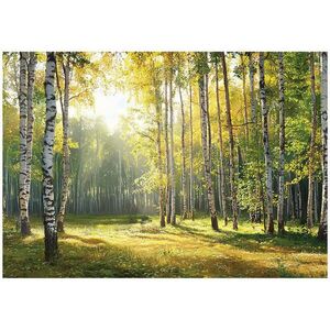 Wallarena 3D efekt fototapety - Les - Obývačka - 200x140 vyobraziť