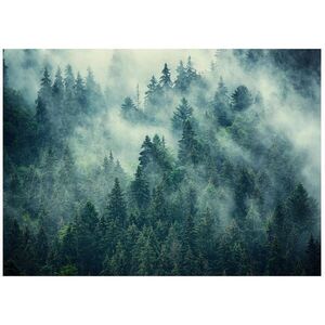 Wallarena FOTOTAPETA: Les v hmle vliesová tapeta 200x140 vyobraziť