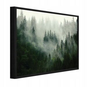Wallarena ZARÁMOVANÉ obrazy les hmla zelená 120x80 cm vyobraziť