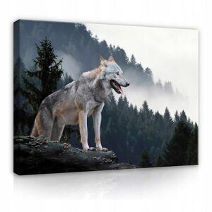Wallarena OBRAZY NA PLÁTNE Vlk Lesné zvieratá 60x40 vyobraziť
