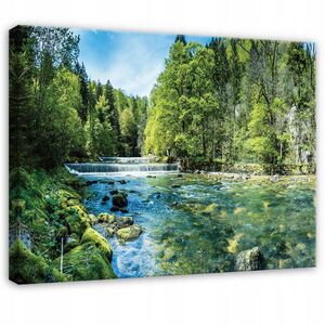 Wallarena OBRAZ na plátne - lesná rieka - zelená 60x40 cm vyobraziť