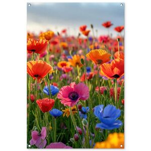 OnlyWow ZÁHRADNÝ PLAGÁT Kvety - maky - farebné - príroda 80x120 cm vyobraziť