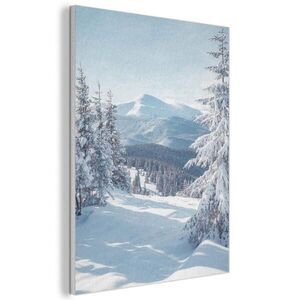 MuchoWow AKUSTICKÝ OBRAZ Zimná krajina - Príroda - Hory - Stromy - Sneh 60x80 cm vyobraziť