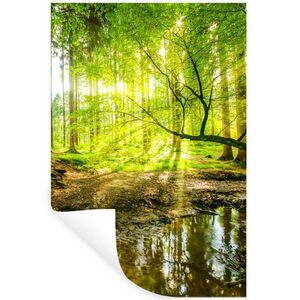 MuchoWow NÁLEPKA NA STENU Les - Krajina - Voda - Stromy - Slnko - Zelená - Príroda 40x60 cm vyobraziť