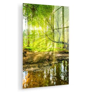MuchoWow OBRAZ NA AKRYLOVOM SKLE Les - Krajina - Voda - Stromy - Slnko - Zelená - Príroda 60x90 cm vyobraziť