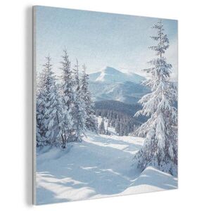 MuchoWow AKUSTICKÝ OBRAZ Zimná krajina - Príroda - Hory - Stromy - Sneh 60x60 cm vyobraziť