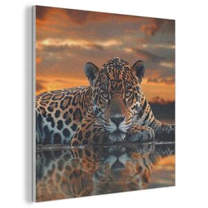 MuchoWow AKUSTICKÝ OBRAZ Príroda - Leopard - Zviera - Západ slnka - Moderné 80x80 cm vyobraziť