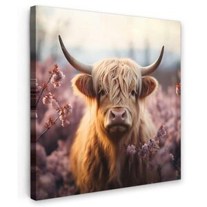 MuchoWow OBRAZ NA PLÁTNE Škótsky horal - Jar - Vysočina 50x50 cm vyobraziť