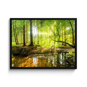 MuchoWow ZARÁMOVANÝ PLAGÁT Les - Krajina - Voda - Stromy - Slnko - Zelená - Príroda 80x60 cm vyobraziť