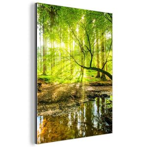 MuchoWow KOVOVÝ OBRAZ Les - Krajina - Voda - Stromy - Slnko - Zelená - Príroda 60x80 cm vyobraziť