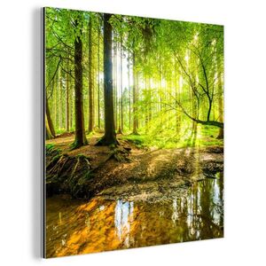 MuchoWow KOVOVÝ OBRAZ Les - Krajina - Voda - Stromy - Slnko - Zelená - Príroda 20x20 cm vyobraziť