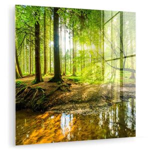 MuchoWow OBRAZ NA AKRYLOVOM SKLE Les - Krajina - Voda - Stromy - Slnko - Zelená - Príroda 50x50 cm vyobraziť
