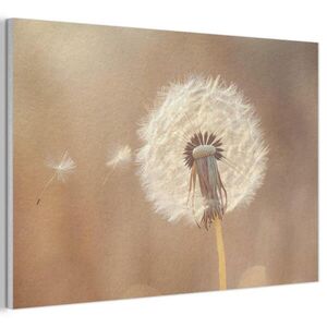 MuchoWow AKUSTICKÝ OBRAZ Púpava - béžová - príroda - kvetina 90x60 cm vyobraziť