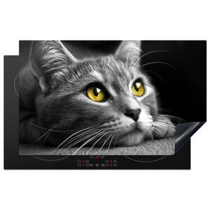 MuchoWow KRYT NA SPORÁK Mačka - Sivá - Zvieratá - Mačka 83x51 cm vyobraziť