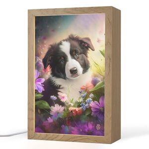 OnlyWow NOČNÁ LAMPA Šteniatko - Slnko - Kvety - Príroda - Border kólia - Pes 20x30 cm vyobraziť