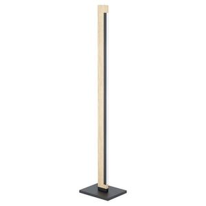 Eglo STOJACIA LED LAMPA, 10/126 cm vyobraziť