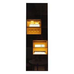 STILVORA VITRÍNA čierna predajná s LED osvetlením a zásuvkou, Š55/H38/V170 cm vyobraziť