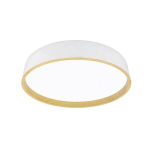 STROPNÉ LED SVIETIDLO, 40/8 cm vyobraziť