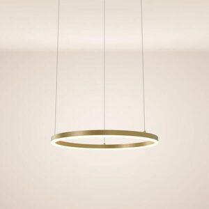 s.luce LED kruhové závesné svetlo Ø 60cm vyobraziť