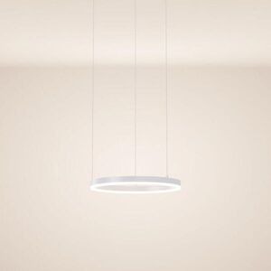 s.luce LED kruhové závesné svetlo Ø 40cm vyobraziť