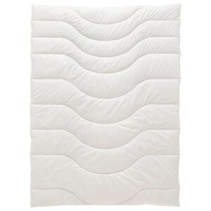 Sleeptex ZIMNÁ PRIKRÝVKA, 135/200 cm, polyester, lyocel, kapok vyobraziť