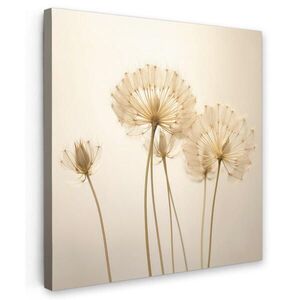 MuchoWow OBRAZ NA PLÁTNE Slnečné svetlo - Púpava - Botanické - Kvety 50x50 cm vyobraziť