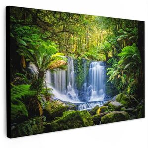 MuchoWow OBRAZ NA PLÁTNE Džungľa - Vodopád - Austrália - Rastliny - Príroda 90x60 cm vyobraziť