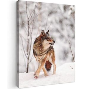 MuchoWow OBRAZ NA PLÁTNE Vlk - Zima - Sneh - Príroda - Zvieratá 60x80 cm vyobraziť