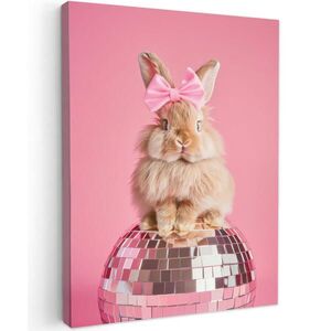 MuchoWow OBRAZ NA PLÁTNE Luk - Discoball - Králik 30x40 cm vyobraziť