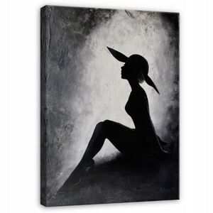 Wallarena PLÁTNOVÝ obraz pani Morceauovej čierny 40x60 cm vyobraziť