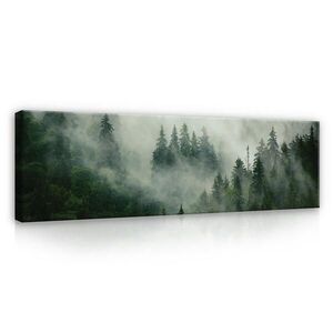Wallarena OBRAZY Lesná hmla Moderná obývacia izba Spálňa 145x45 vyobraziť