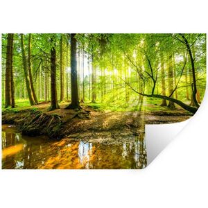 MuchoWow NÁLEPKA NA STENU Les - Krajina - Voda - Stromy - Slnko - Zelená - Príroda 60x40 cm vyobraziť