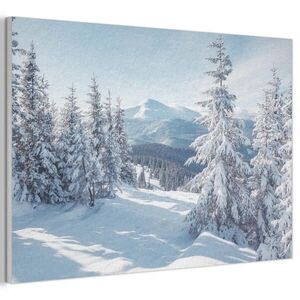 MuchoWow AKUSTICKÝ OBRAZ Zimná krajina - Príroda - Hory - Stromy - Sneh 90x60 cm vyobraziť