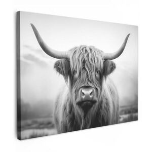 MuchoWow OBRAZ NA PLÁTNE Škótsky horal - hmla - čierna - biela 80x60 cm vyobraziť