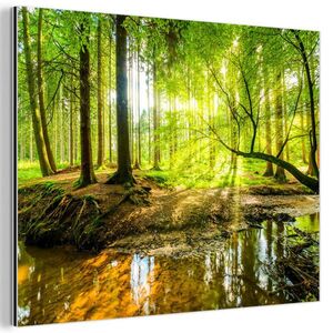 MuchoWow KOVOVÝ OBRAZ Les - Krajina - Voda - Stromy - Slnko - Zelená - Príroda 40x30 cm vyobraziť