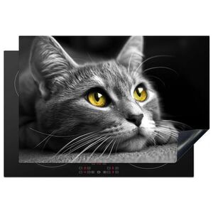 MuchoWow KRYT NA SPORÁK Mačka - Sivá - Zvieratá - Mačka 77x51 cm vyobraziť