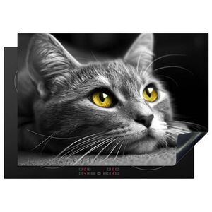 MuchoWow KRYT NA SPORÁK Mačka - Sivá - Zvieratá - Mačka 75x52 cm vyobraziť