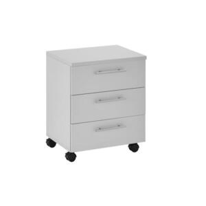 Carryhome KONTAJNER NA KOLIESKACH, 40/56/39 cm vyobraziť