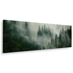 Muralo PANORAMATICKÝ OBRAZ Les V Mlze Stromy Příroda 3D 145 x 45 cm vyobraziť