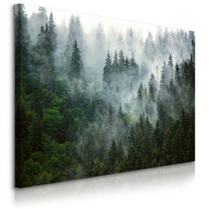 Muralo OBRAZ NA PLÁTNE Les V Hmle Krajina 3D 90 x 60 cm vyobraziť